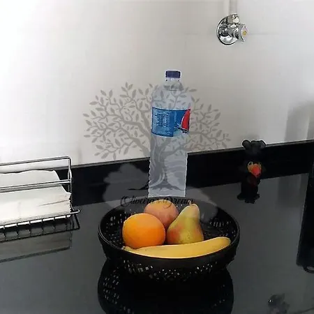 Oliveira's Dream - Good, Feel Good * Maía