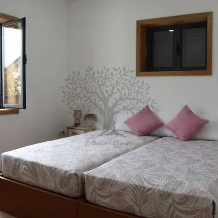 Oliveira's Dream - Good, Feel Good Prázdninový dům Maía