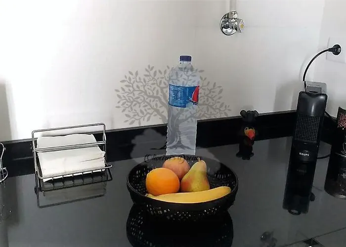 Oliveira's Dream - Good, Feel Good * Maía